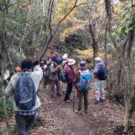 Granite Obelisk in Yakushima Full-Day Trekking Tour - What to Expect During the Trek