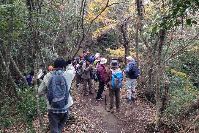 Granite Obelisk in Yakushima Full-Day Trekking Tour - What to Expect During the Trek