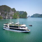 Gratiot Premium Full Day Cruise in Halong - What We Love About the Tour