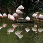 Guangzhou Private Day Tour to Chimelong Safari Park - Transport and Comfort