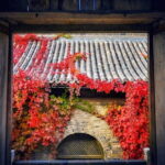 Gubei Water Town And Simatai Great Wall Private Day Tour - Who Will Love This Experience?