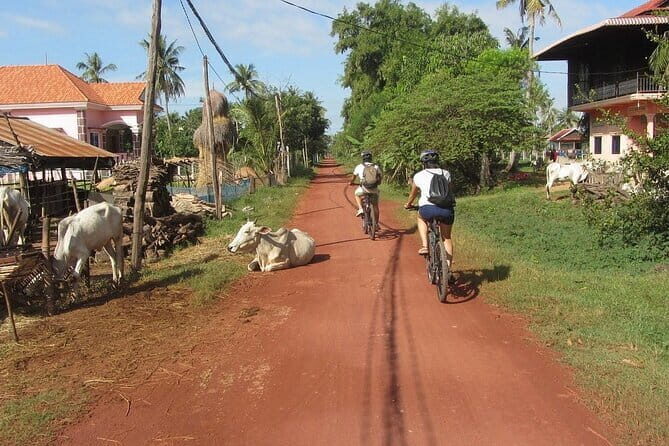 Guided Countryside Bike Tour with Local Insights - What’s Included and What to Consider