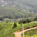Guided Hike to Single Tree Hills from Nuwara Eliya - Summary: Who Will Love This Experience?
