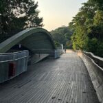Guided Hiking Tour to Seah Im bunker, Mount Faber and Henderson - Nature and History at Keppel Hill Reservoir and Japanese Tomb