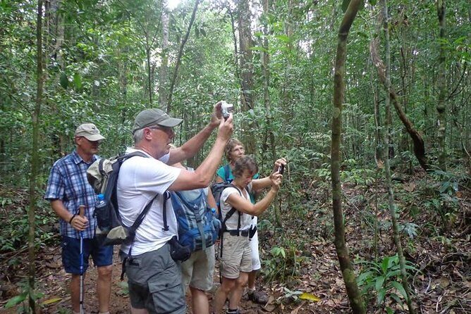 Guided Nature Trail to Kanneliya Forest - What You Can Expect on the Trail