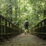 Guided trekking in the natural beauty of Cuc Phuong National Park - Who should consider this tour?