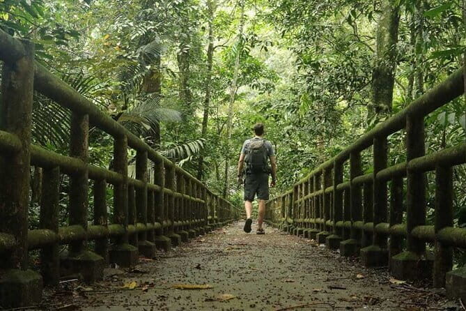 Guided trekking in the natural beauty of Cuc Phuong National Park - Who should consider this tour?