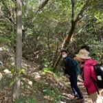 Guided Walking Ohenro Pilgrimage Experience in Dogo Hot Spring - Who Will Love This Tour?
