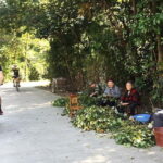 Guilin Bike Tour and Visit of Jiangtouzhou Ancient Village - Who Is This Tour Best For?