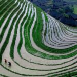 Guilin Day Trip: Dragon's Backbone Rice Terraces & Ping'an Zhuang Ethnic Village - Authentic Experiences & What You’ll Take Away