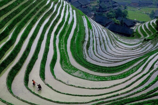 Guilin Day Trip: Dragon's Backbone Rice Terraces & Ping'an Zhuang Ethnic Village - Authentic Experiences & What You’ll Take Away