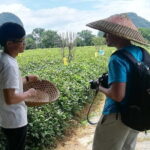 Guilin Private Tour of Daxu Old Town and Yaoshan Tea Plantation - What’s the Value?