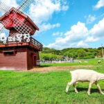 Gyeonggi do Yangpyeong Day Tour - Practical Details and Experience