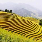 Ha Giang loop trekking 4 days 3 nights - What Makes This Tour Stand Out