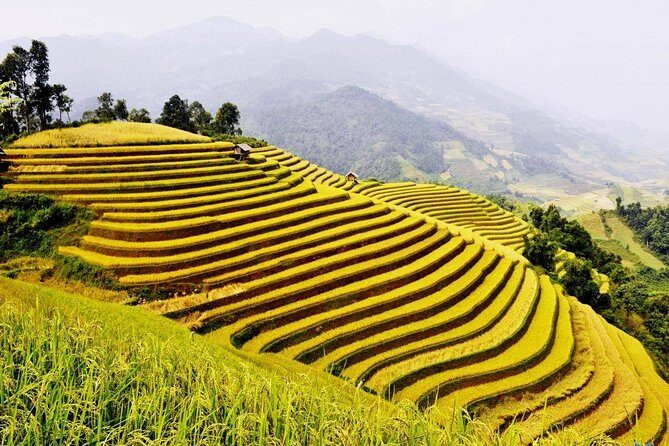Ha Giang loop trekking 4 days 3 nights - What Makes This Tour Stand Out