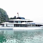 Ha Long Bay Day Tour with 5-Star Symphony Luxury Cruise - In-Depth Look at the Experience