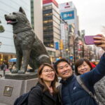 Hachik, Hachi, Tale of a Faithful Dog, Mystery Tour - The Experience: A Closer Look