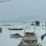 HAI VAN PASS, MONKEY MOUTAIN & MARBLE MOUNTAINS with Nice Photo Opportunity - Practical Details and What to Expect