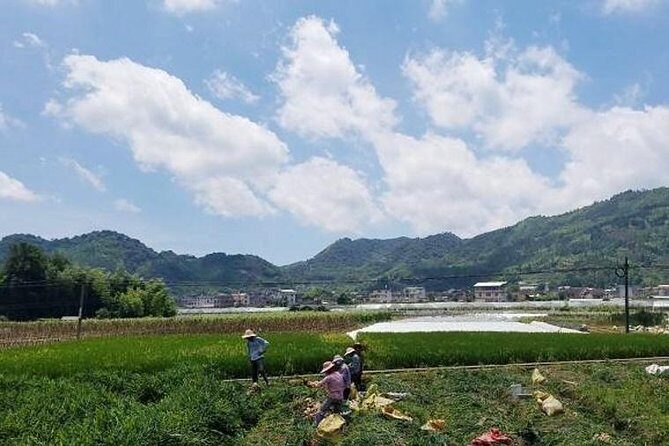 Hakka Tulou Village and Yun Shui Yao Water Town Private Day Trip from Xiamen - Practical Details and Value
