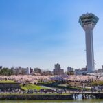 Hakodate Private Customizable Full Day Tour - What to Expect During Your Day