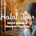 Halal-Nami Island & Central Mosque & Petite France & RailBike - Final Thoughts