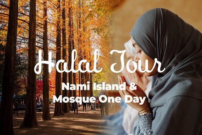 Halal-Nami Island & Central Mosque & Petite France & RailBike - Final Thoughts