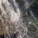 Half Day Chiang Mai Sticky Waterfall and Hotel Transfer - Who Should Consider This Tour?