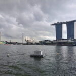 Half Day City Tour in Singapore Orchid Garden - Final Thoughts