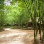 Half-Day Cu Chi Tunnels Excursion - Final Thoughts