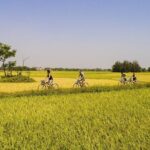 Half Day Cycling in the Hoi An Countryside - Starting Out in Hoi An