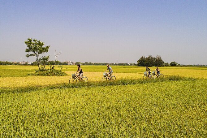 Half Day Cycling in the Hoi An Countryside - Starting Out in Hoi An