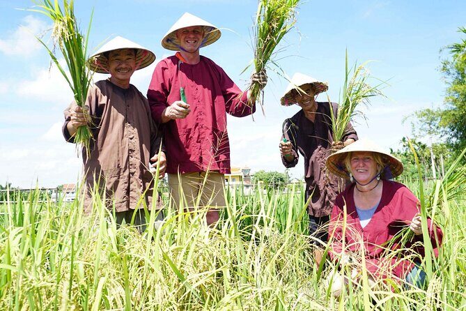 Half-day Farming life with wet rice from Hoi An - Why This Tour Offers Great Value