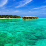 Half-Day Fun Adventure Private Tour in Male - Why This Tour Could Be a Good Choice