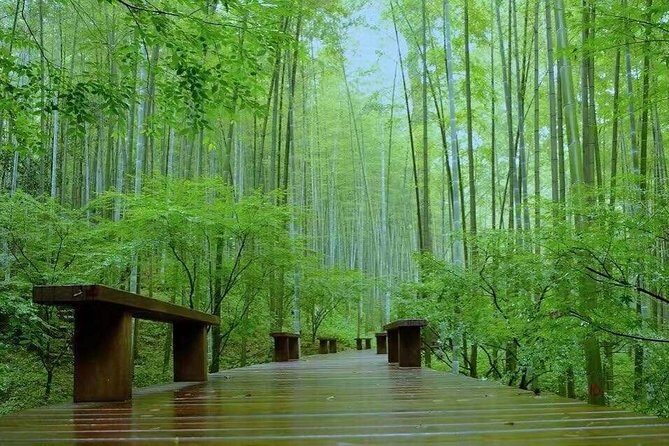 Half-Day Hangzhou Nature Explore with Green Tea Village and Yunxi Bamboo Forest - Practical Details: What You Need to Know
