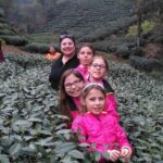 Half-Day Hangzhou Private Tour with Green Tea Village and Lingyin Temple - Is This Tour Worth the Price?