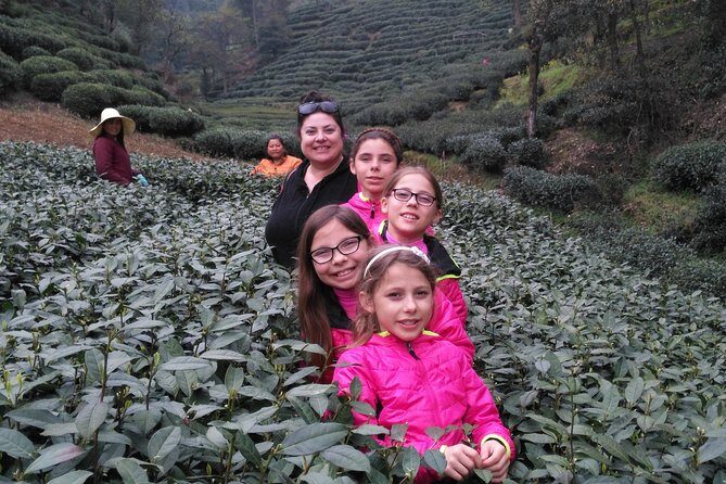 Half-Day Hangzhou Private Tour with Green Tea Village and Lingyin Temple - Is This Tour Worth the Price?