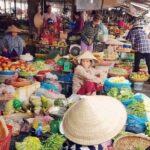 Half-day Hoi An Cooking Class & Basket Boat Ride Experience - What We Think: The Pros and Cons