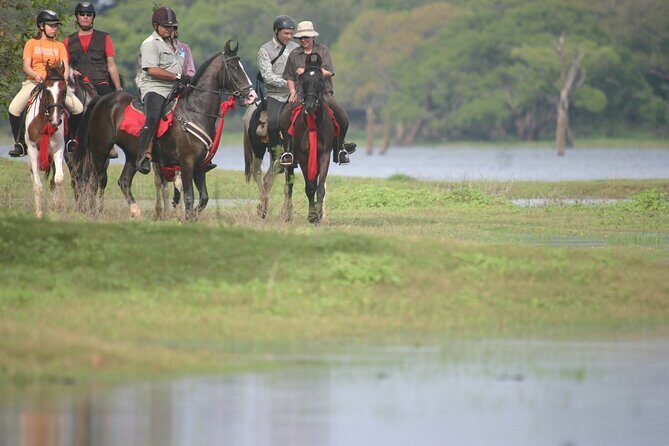 Half Day Horse Riding in Dambulla - A Detailed Look at the Half Day Horse Riding Experience