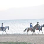 Half-Day Horse Riding in Kalpitiya - Authentic Cultural Encounters