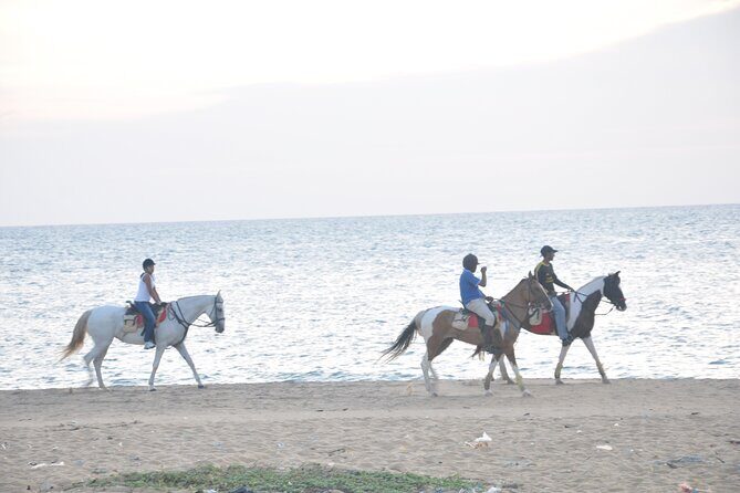 Half-Day Horse Riding in Kalpitiya - Authentic Cultural Encounters