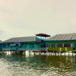 half day Kompong Pluk Floating Village Morning Tour By Join-in - A Closer Look at the Kompong Pluk Floating Village Tour
