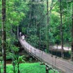 Half-Day Lambir Hills National Park Tour from Miri - The Details That Matter