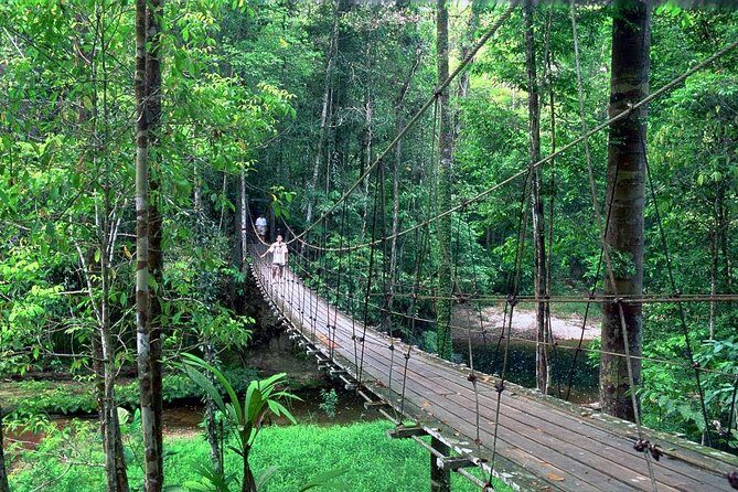 Half-Day Lambir Hills National Park Tour from Miri - The Details That Matter