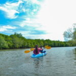 Half Day Mangrove Kayaking Adventure Tour From Koh Lanta - FAQ