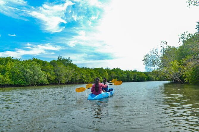 Half Day Mangrove Kayaking Adventure Tour From Koh Lanta - FAQ
