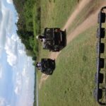 Half Day - Minneriya National Park Safari Tour From Habarana/Sigiriya - Frequently Asked Questions