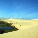 Half-Day Mui Ne Sand Dunes Jeep Tour with Hotel Pickup - Who Should Book This Tour?