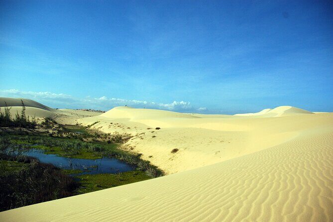 Half-Day Mui Ne Sand Dunes Jeep Tour with Hotel Pickup - Who Should Book This Tour?
