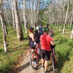 Half-Day Phuket's Hidden Trails Biking Adventure Small-Group Tour - Practical Tips for Participating
