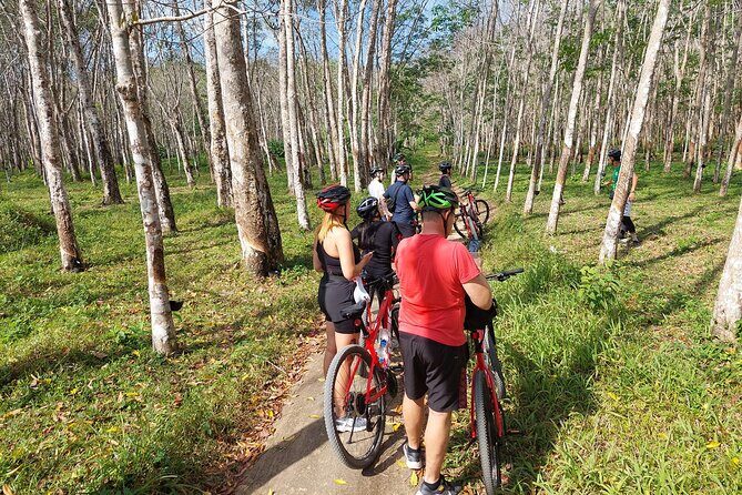 Half-Day Phuket's Hidden Trails Biking Adventure Small-Group Tour - Practical Tips for Participating